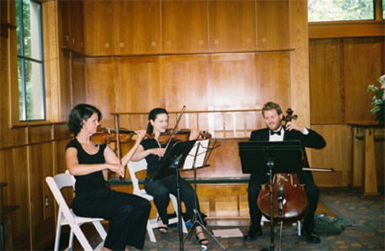 Taylor-Rich String Trio