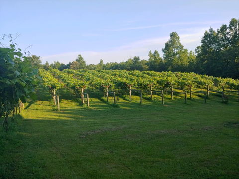 Blue Cielo Farms Vineyards & Winery