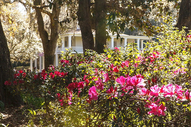 Wesley Mansion at Eden State Park